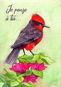 Bonjour color&eacute; avec un oiseau pensif
